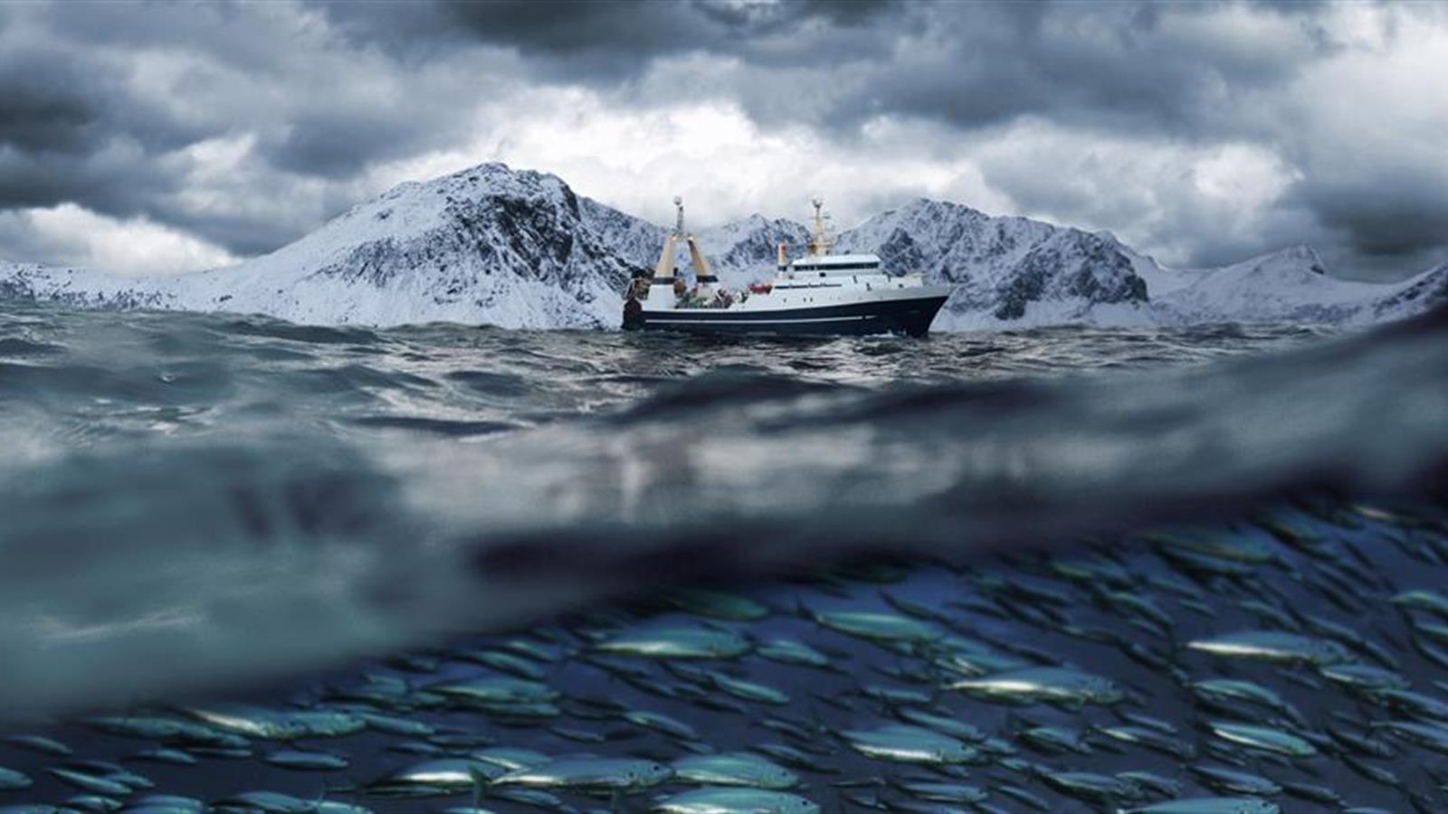 Optimar on board fish handling Optimar on board fish handling