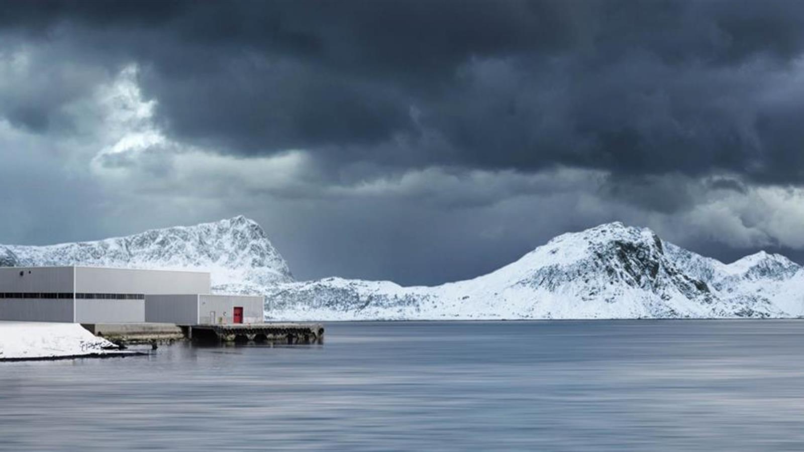 Optimar onshore fish handling Optimar onshore fish handling
