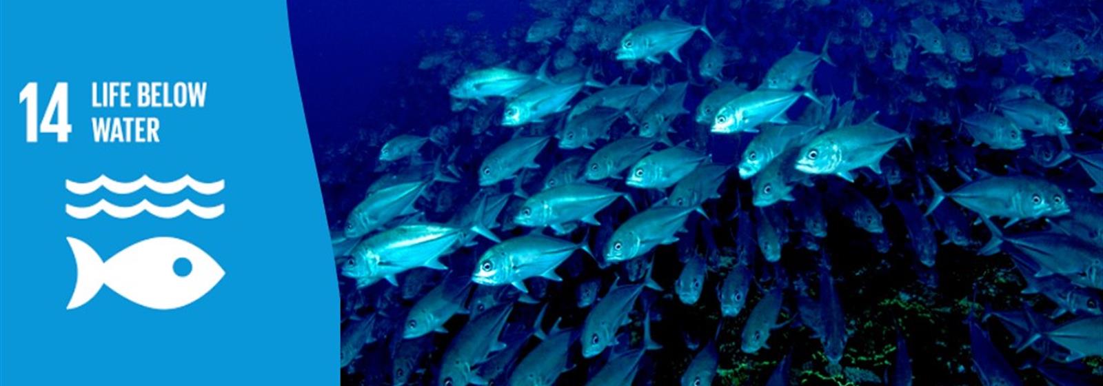 life below water blue wave life below water blue wave