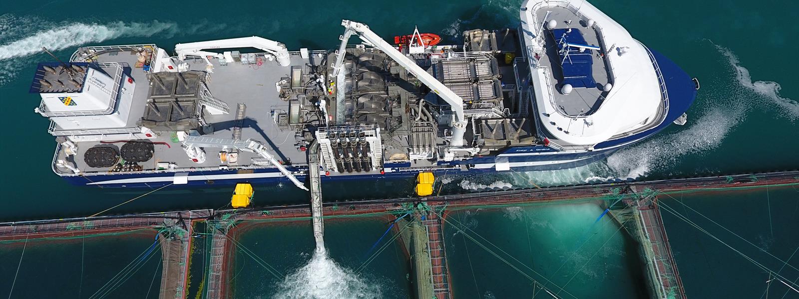 Optimar Optilicer Optilce for delicing