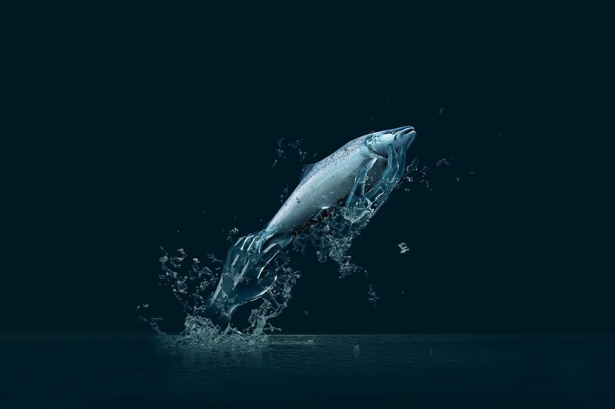 Fish handling with care Fish handling with care