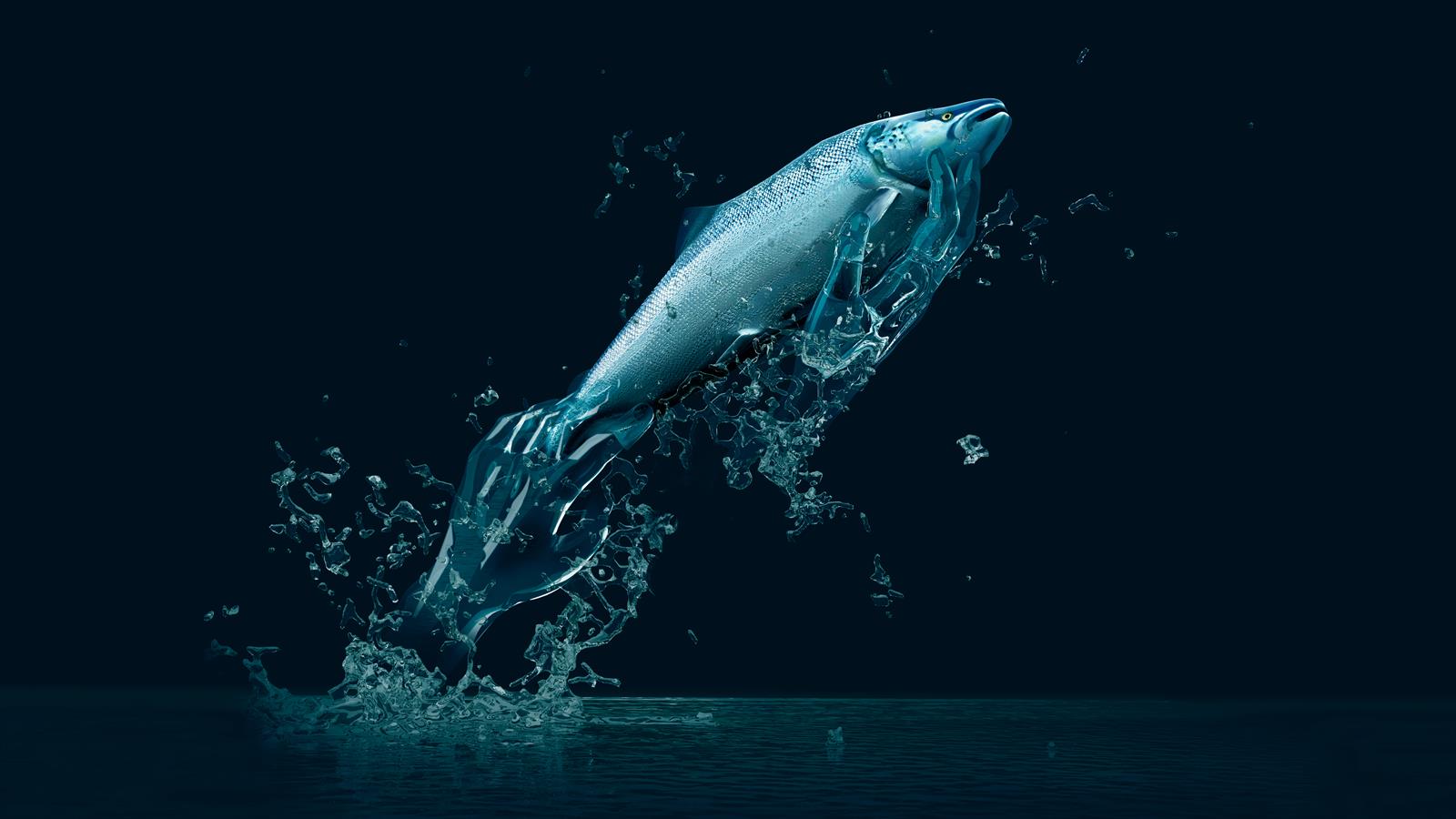 FishHandlingWithCare_crop FishHandlingWithCare_crop