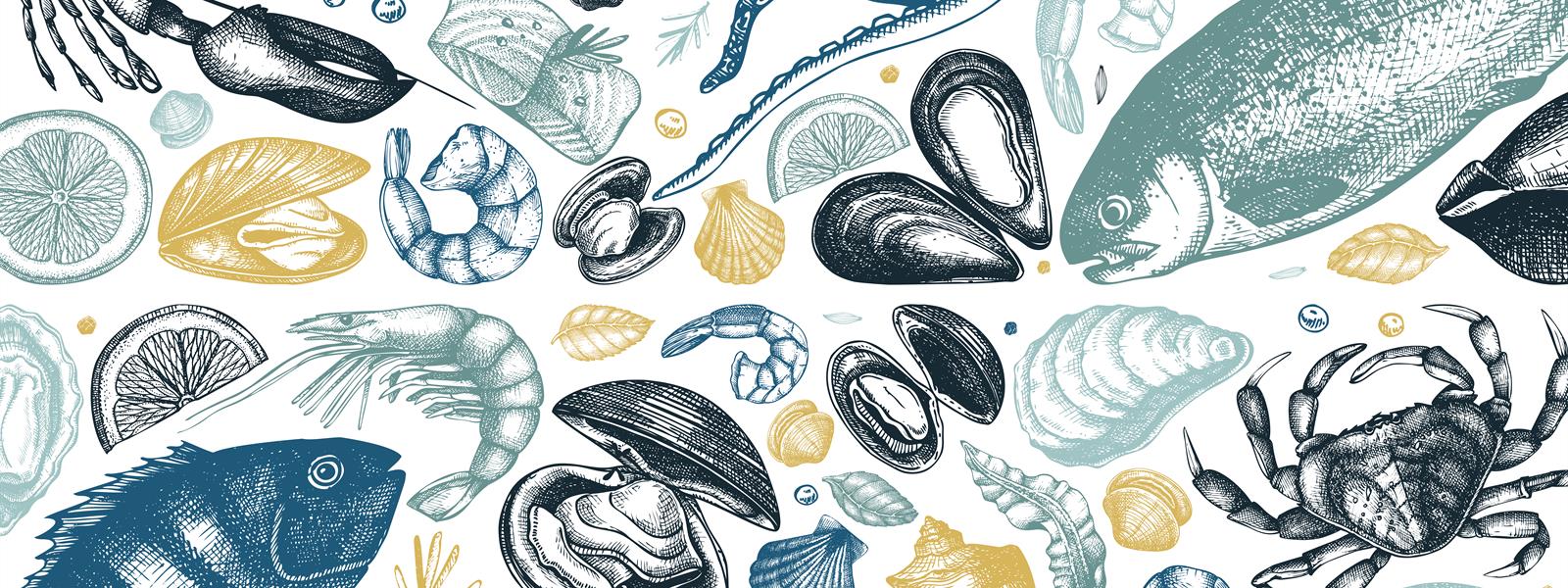 Seafood vector