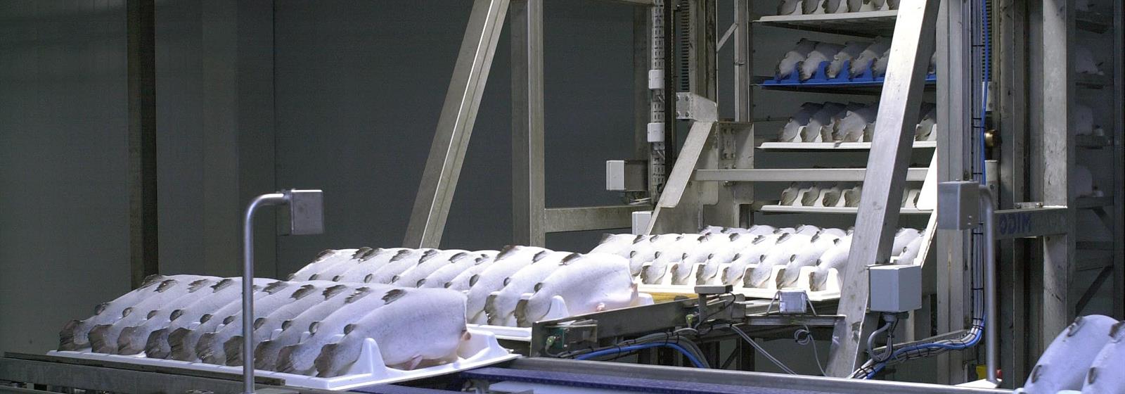 OptiFreeze Blast in production OptiFreeze Blast in production